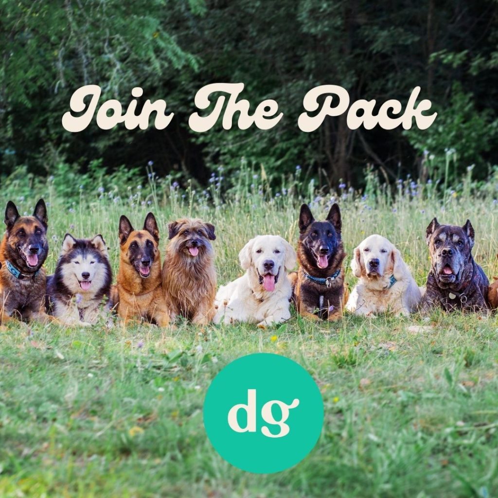 Join The Dog Guide Bend Family