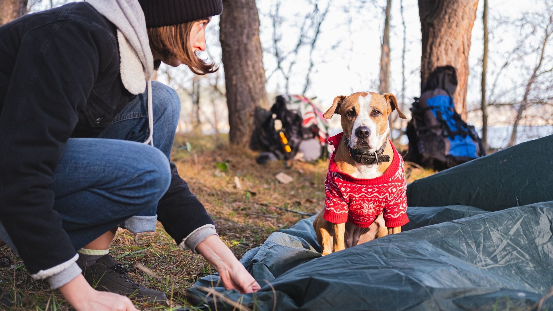 Dog and human go camping with dogs near Bend