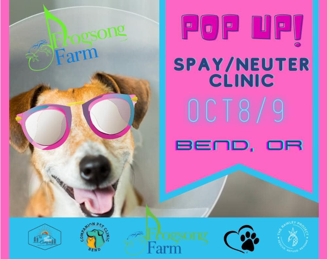 Bend Pop up Spay/Neuter Clinic