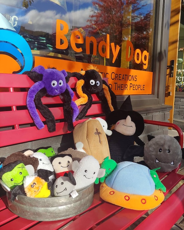 Local Bend dog store called Bendy Dog