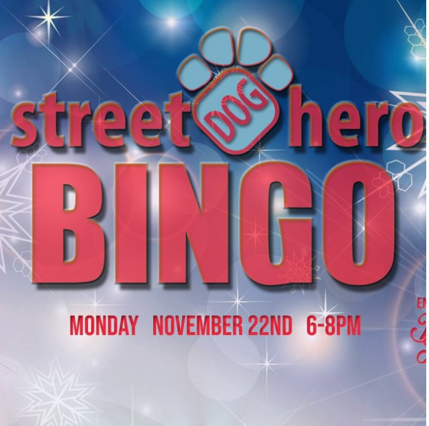 Street Dog Hero Bingo Night