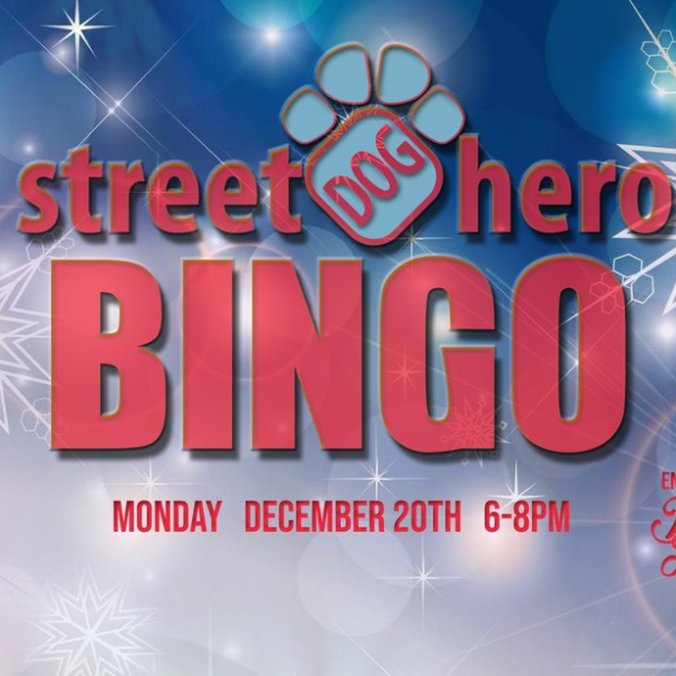 Street Dog Hero Bingo at the Lot