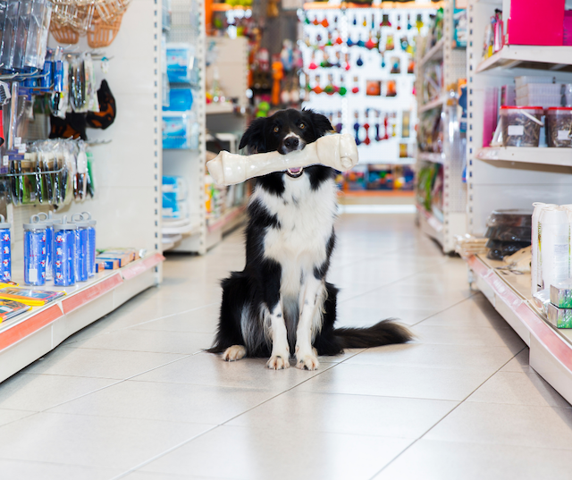 Ruffwear Retail Store The Dog Guide Bend Oregon