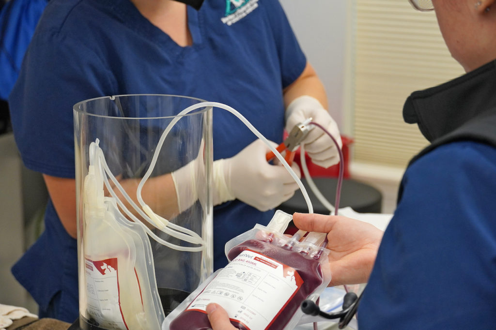 Veterinary Referral Center of Central Oregon relies on blood donations from the community