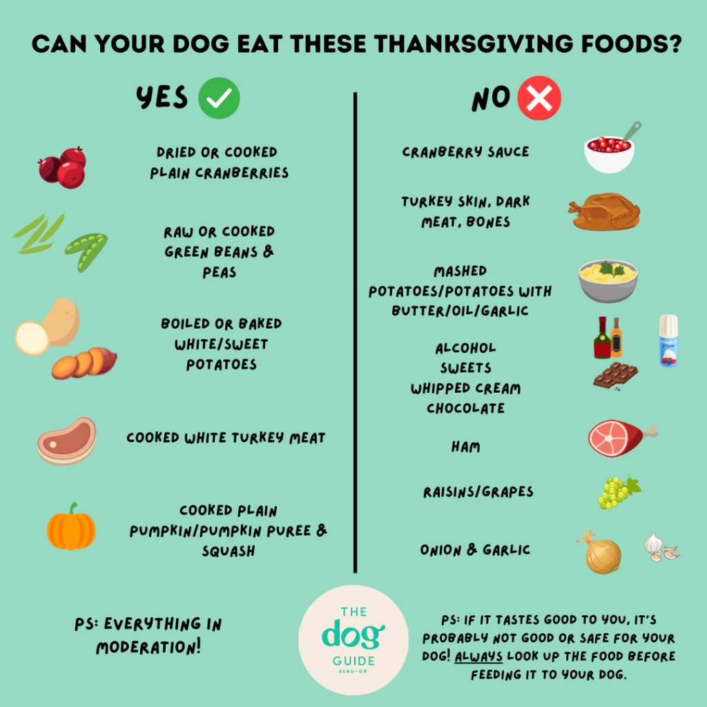Thanksgiving Foods Dogs Can And Can t Eat The Dog Guide Bend Oregon