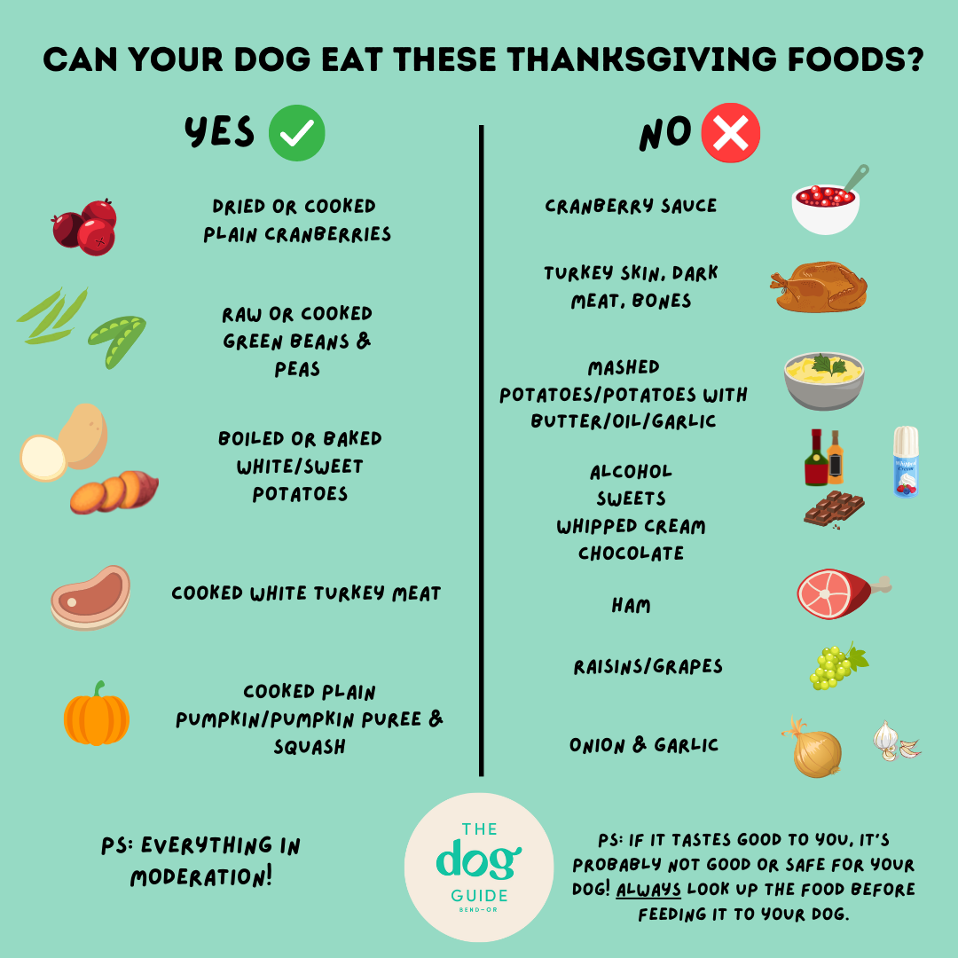https://bend.thedogguide.com/wp-content/uploads/sites/2/2022/11/Thanksgiving-foods.png
