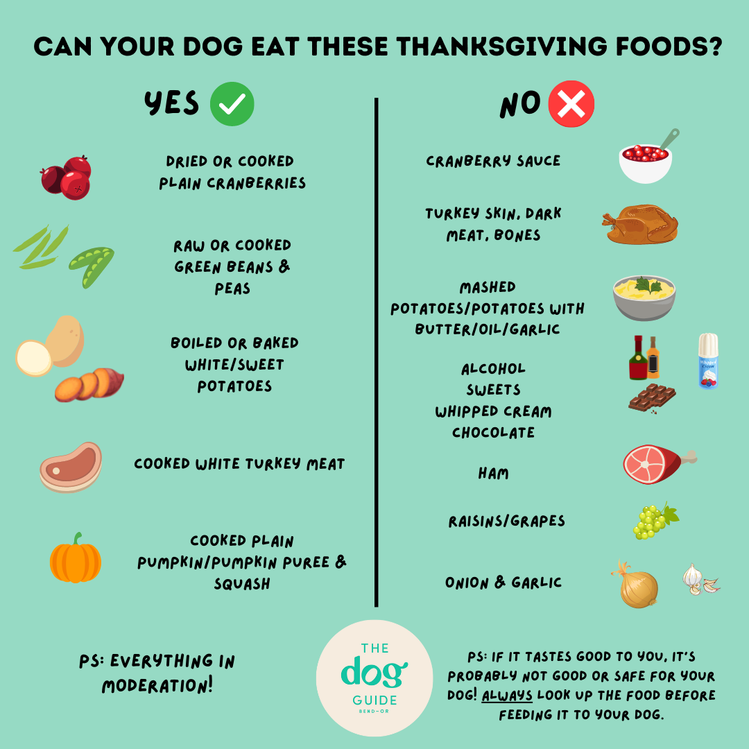 Thanksgiving Foods Dogs Can and Can t Eat The Dog Guide Bend Oregon